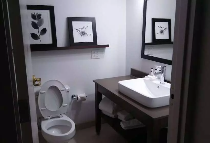 هتل Country Inn & Suites By Radisson, Roanoke, Va