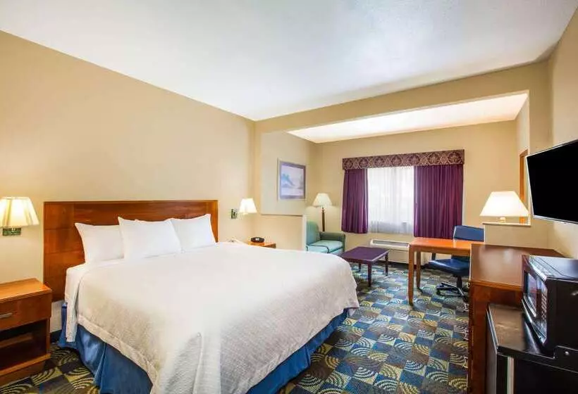 Hotelli Days Inn & Suites By Wyndham Corpus Christi Central