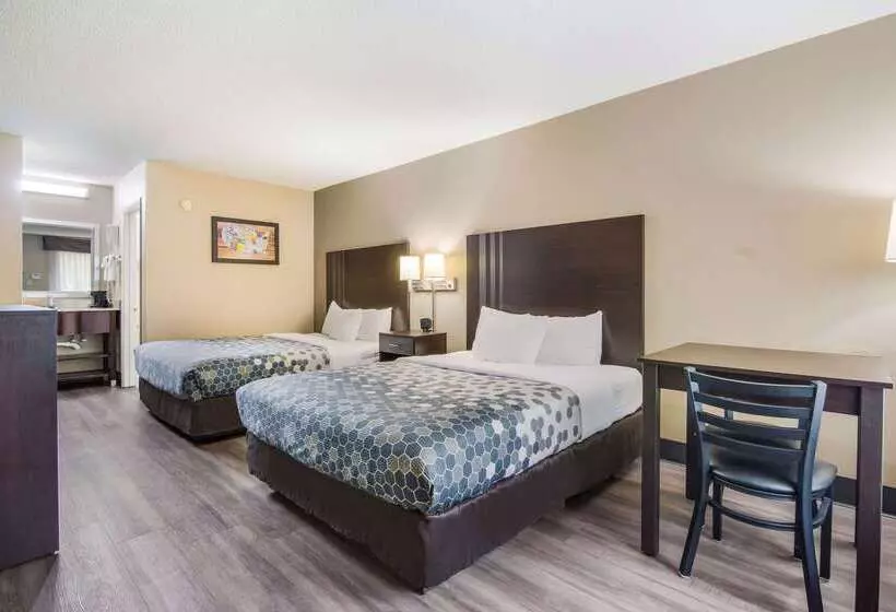 هتل Econo Lodge South