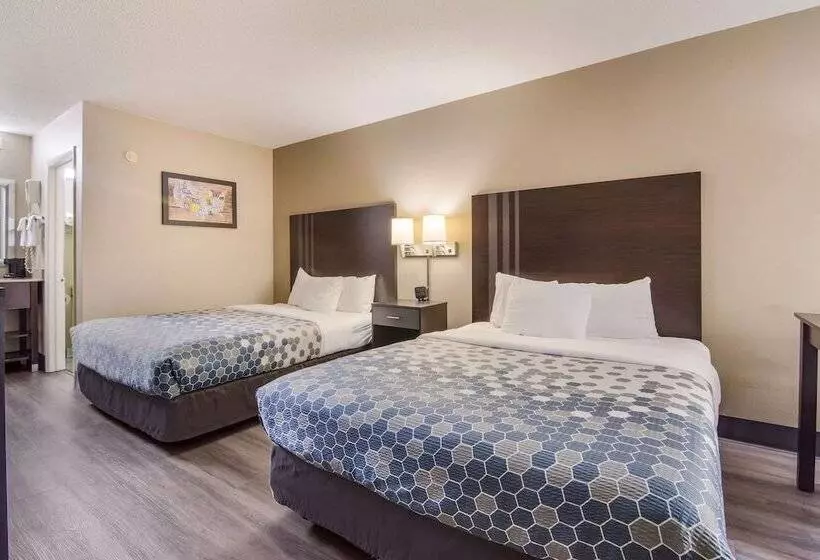 هتل Econo Lodge South