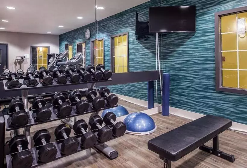 호텔 Holiday Inn & Suites Dallas Addison By Ihg