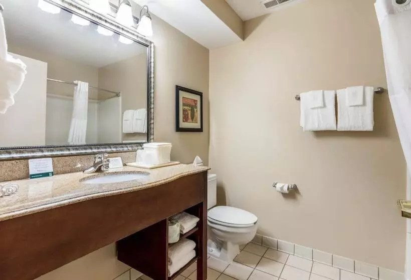 호텔 Quality Suites Paducah I 24