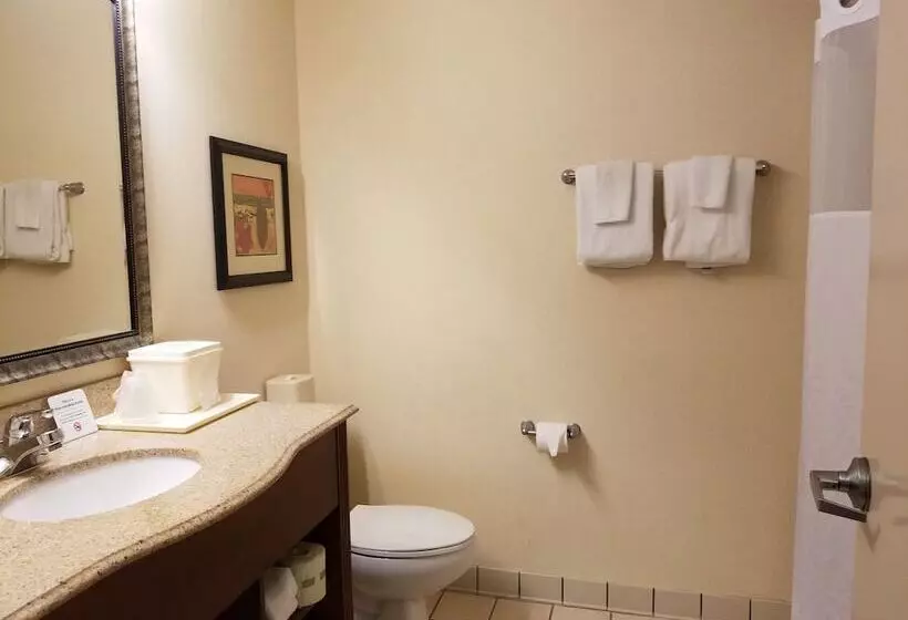 호텔 Quality Suites Paducah I 24