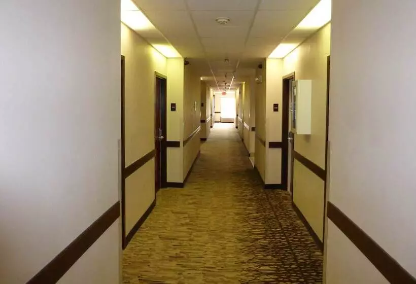 ホテル Red Roof Inn Plus+ & Suites Chattanooga Downtown