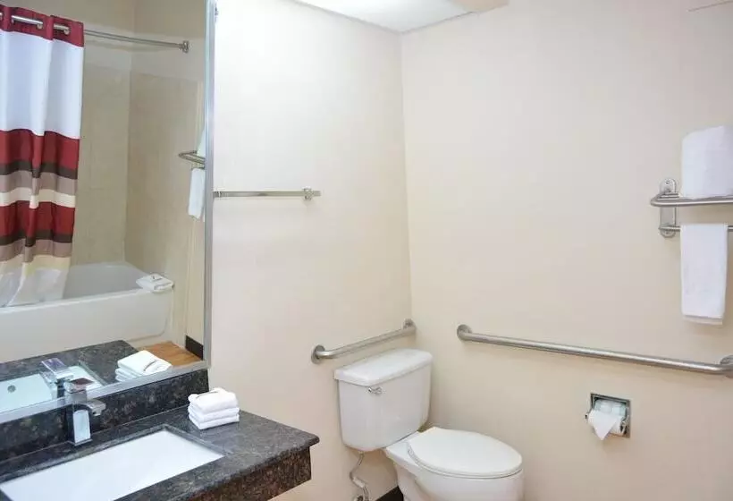 ホテル Red Roof Inn Plus+ & Suites Chattanooga Downtown