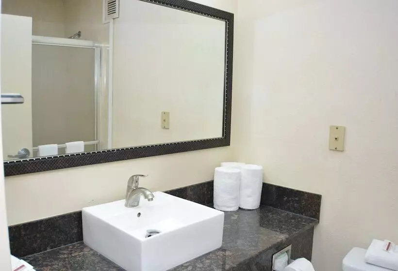 ホテル Red Roof Inn Plus+ & Suites Chattanooga Downtown