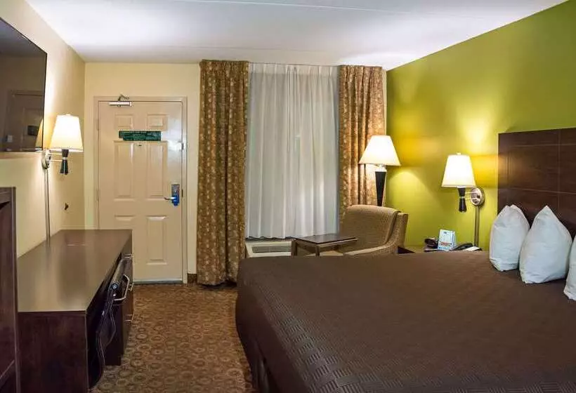 酒店 Rodeway Inn & Suites