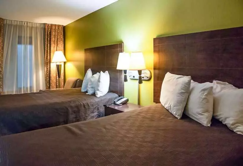 酒店 Rodeway Inn & Suites