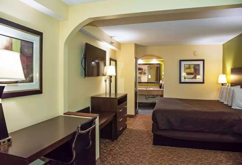 酒店 Rodeway Inn & Suites