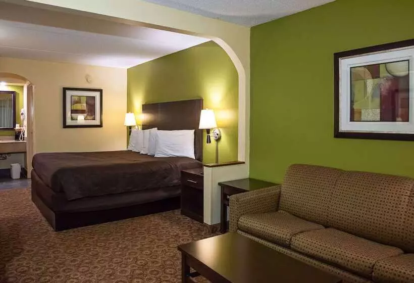 酒店 Rodeway Inn & Suites