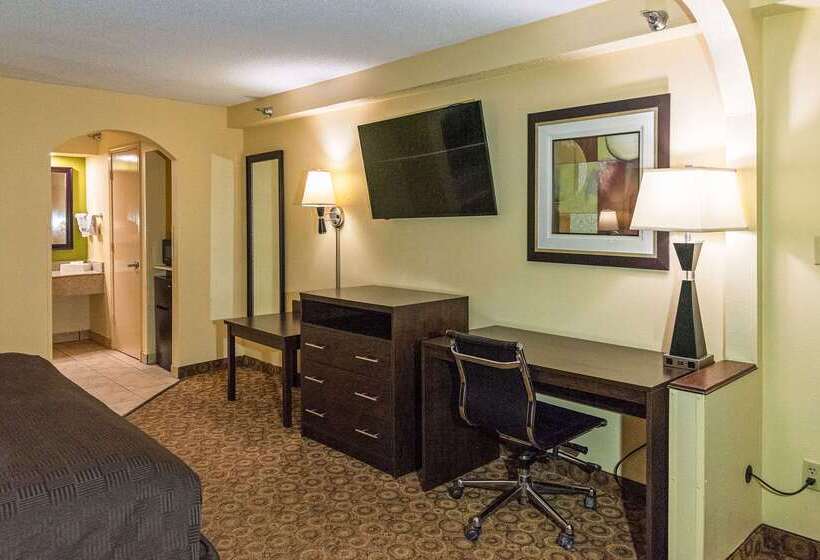 酒店 Rodeway Inn & Suites