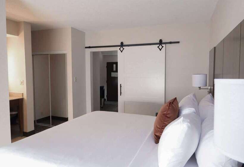 酒店 Wingate By Wyndham Jackson Ridgeland