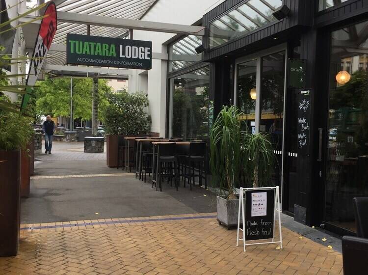 旅馆 Tuatara Lodge