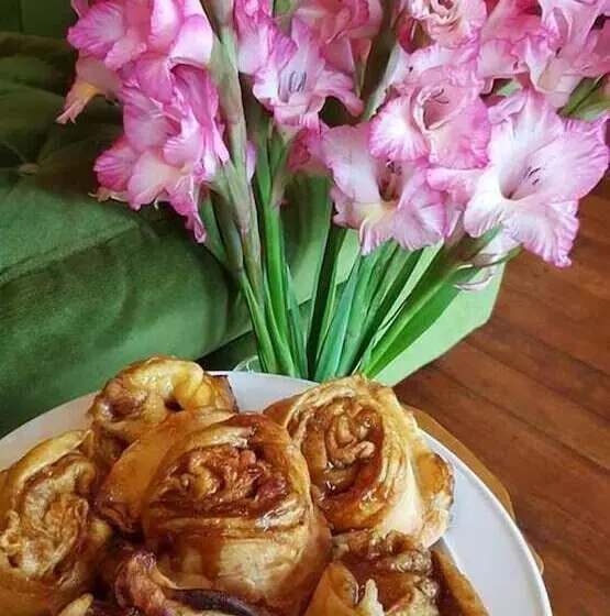 Retkeilymaja Tuatara Lodge