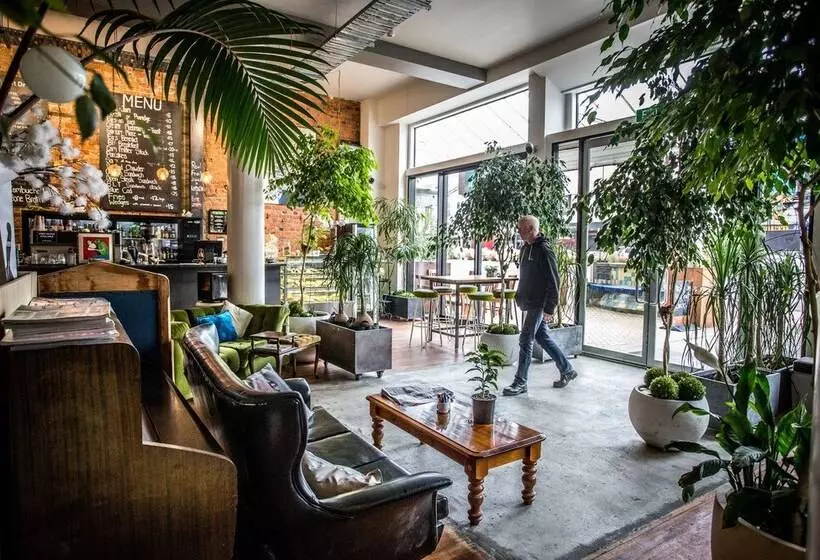 Retkeilymaja Tuatara Lodge