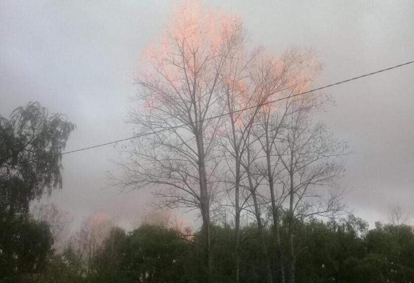 Cabañas Aqui Y Ahora