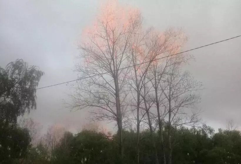Cabañas Aqui Y Ahora