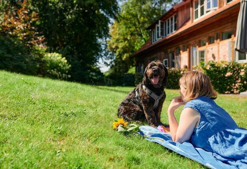 酒店 Nordenholzer Hof