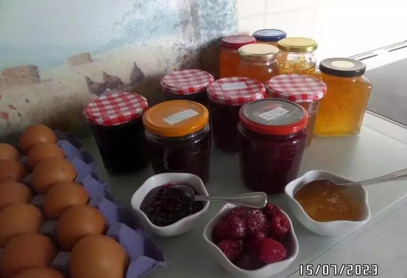 پانسیون Dromard House