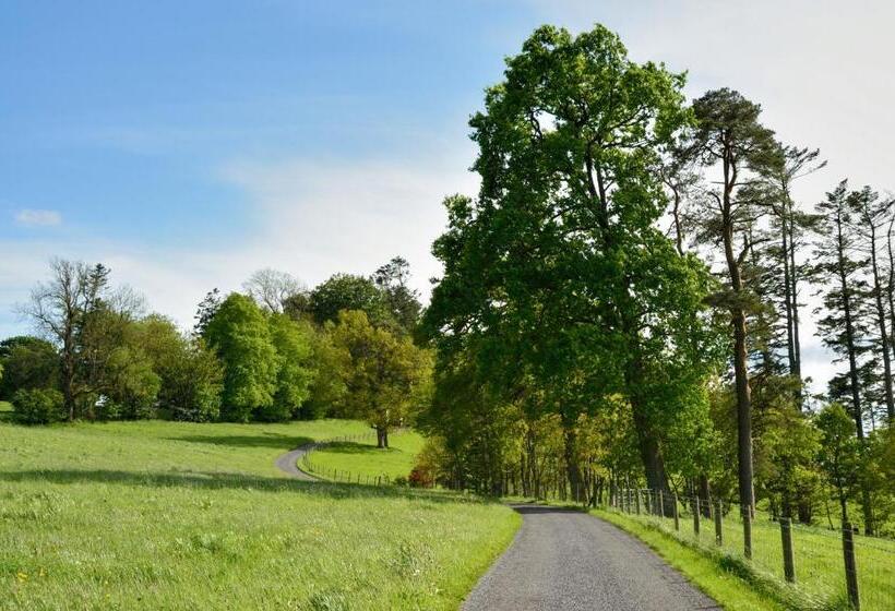 Пансион Dromard House