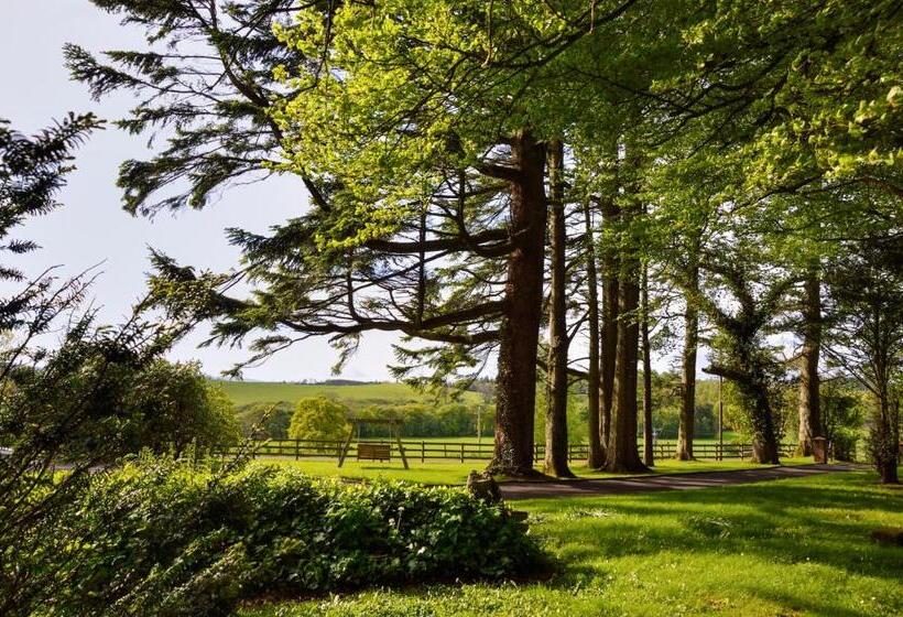 Пансион Dromard House