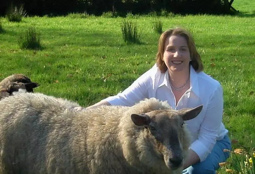 پانسیون Dromard House