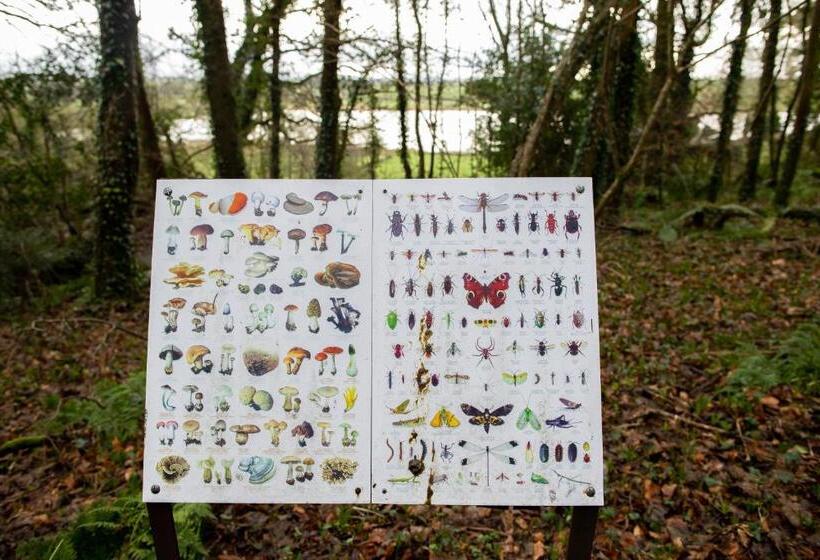 Пансион Dromard House