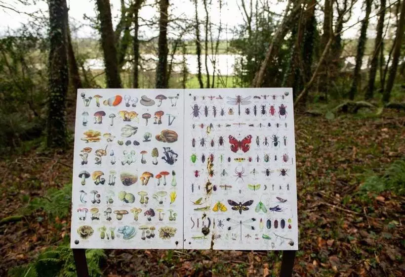 پانسیون Dromard House