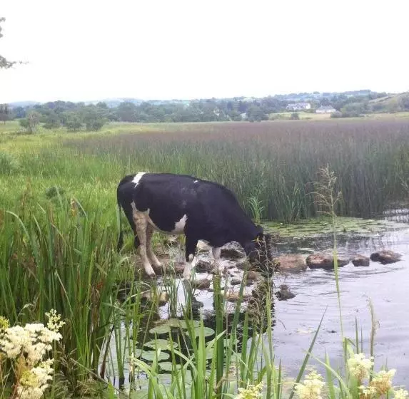 پانسیون Dromard House