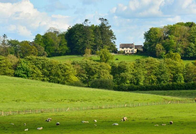 Пансион Dromard House