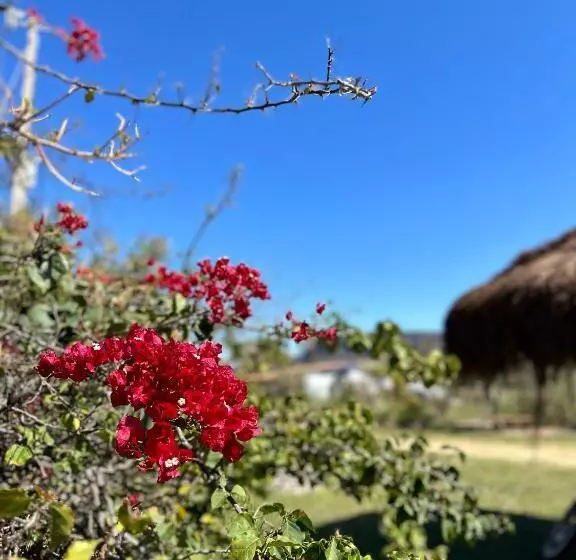 ペンション Pousada/camping Mirante Serrano