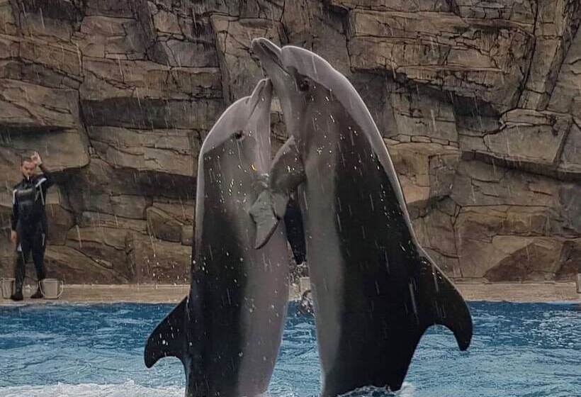 هتل Medea Kvariati