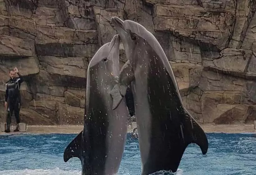 هتل Medea Kvariati