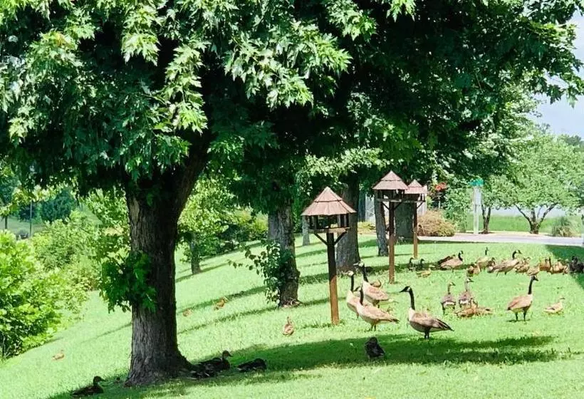 Motelli Landmark Inn