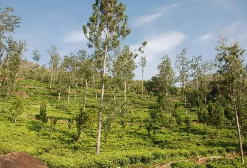 Majatalo Colonial 4 B/r Home, Great For Families, Coonoor