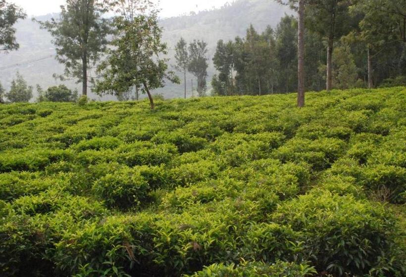 Pension Colonial 4 B/r Home, Great For Families, Coonoor