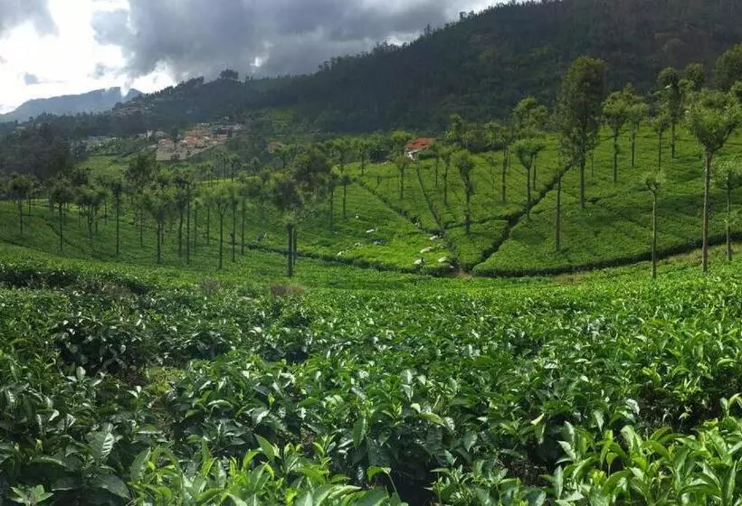 Majatalo Colonial 4 B/r Home, Great For Families, Coonoor