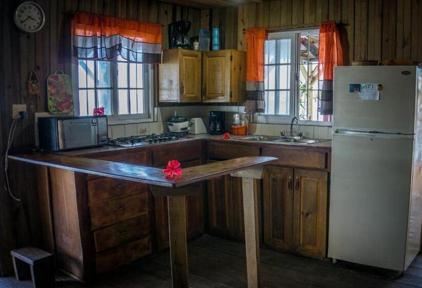 هاستل Hostal On The Sea