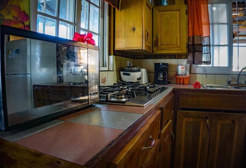 هاستل Hostal On The Sea