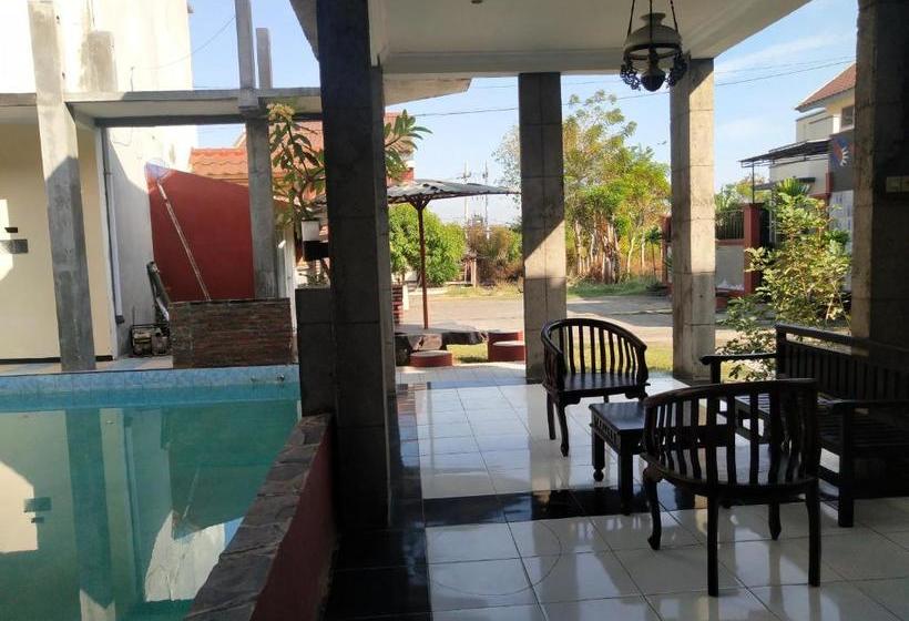 بنسيون Surya Guest House