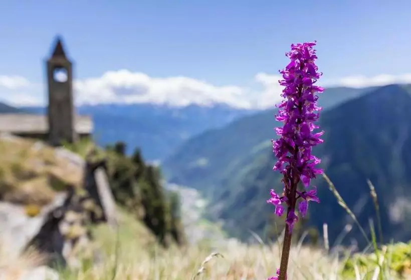 ホテル Rifugio Alpe San Romerio