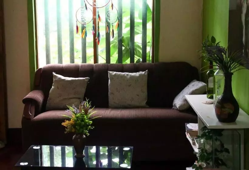 ペンション Hostal Casa Mauro