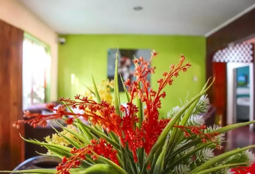 ペンション Hostal Casa Mauro