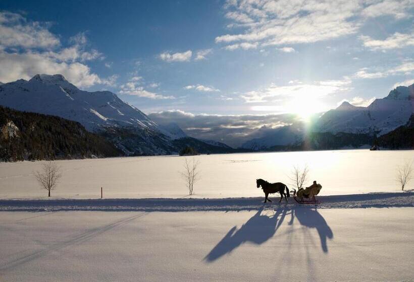 פנסיון Rosatsch Sleep Only