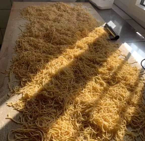 ユースホステル Grotto Zendralli