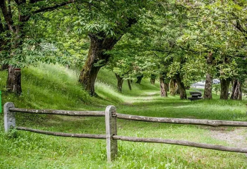 ユースホステル Grotto Zendralli