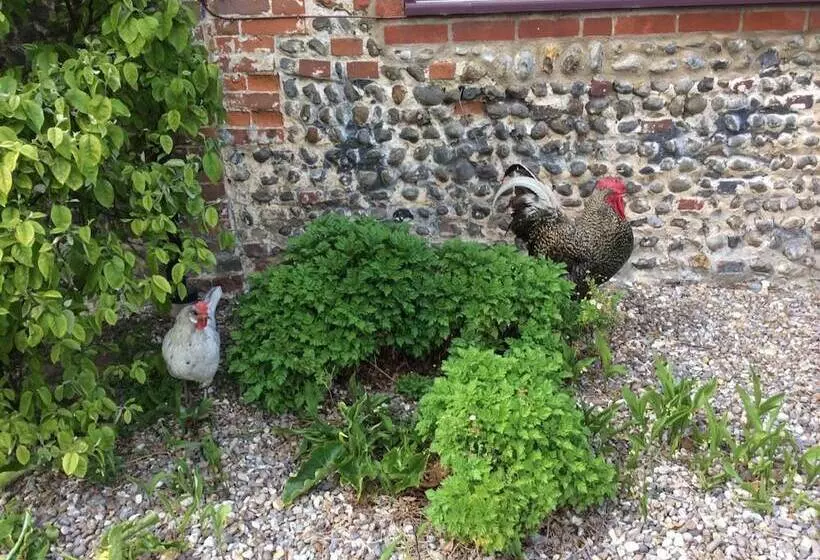 Aamiaismajoitus (B&B) Sidney House Farm