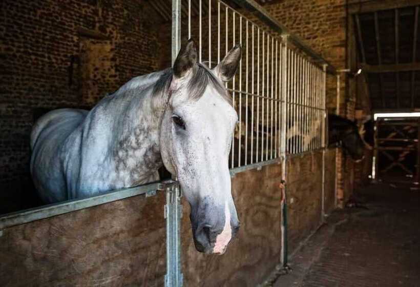 צימר Sidney House Farm
