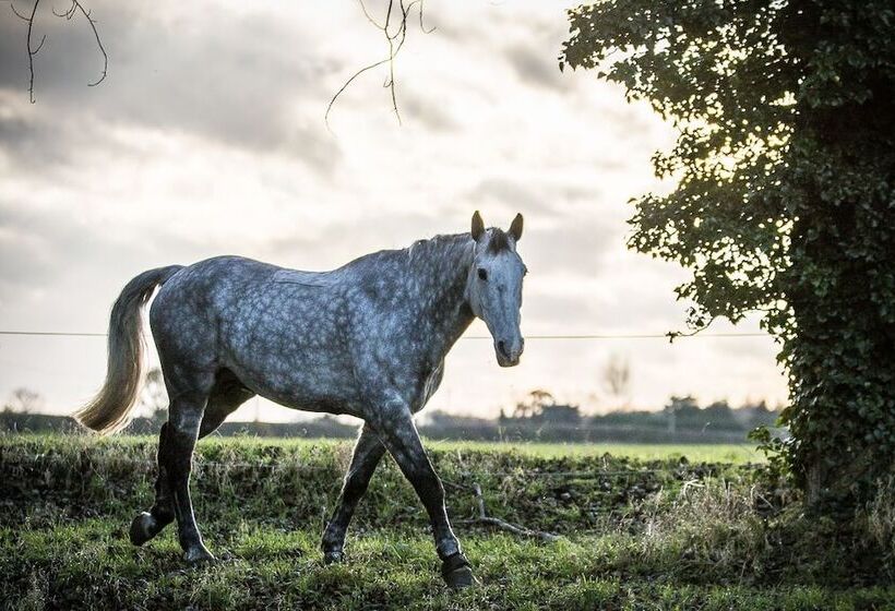 צימר Sidney House Farm
