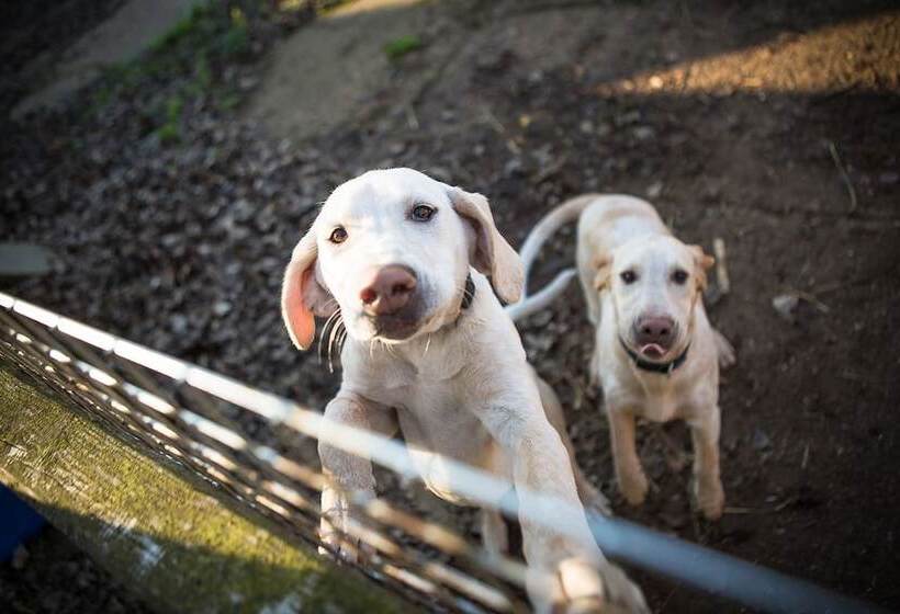 צימר Sidney House Farm